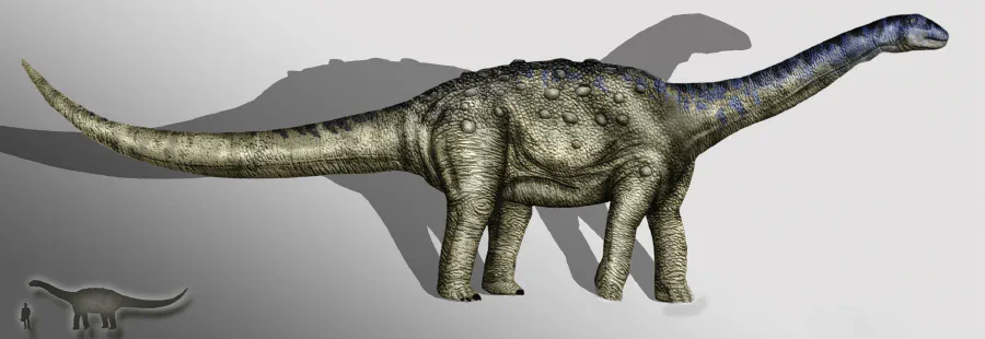 Aeolosaurus