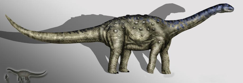 Aeolosaurus Aeolosaurus