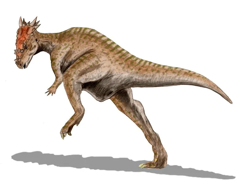 Dracorex hogwartsia