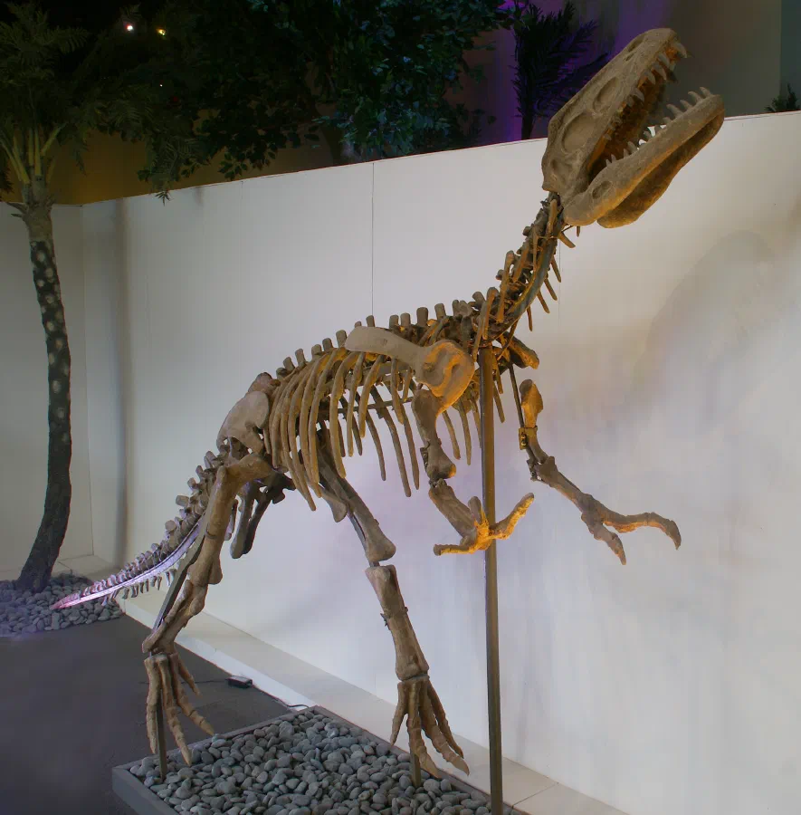 Gasosaurus constructus