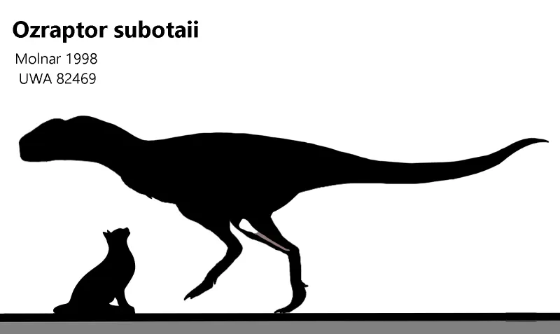 Ozraptor subotaii