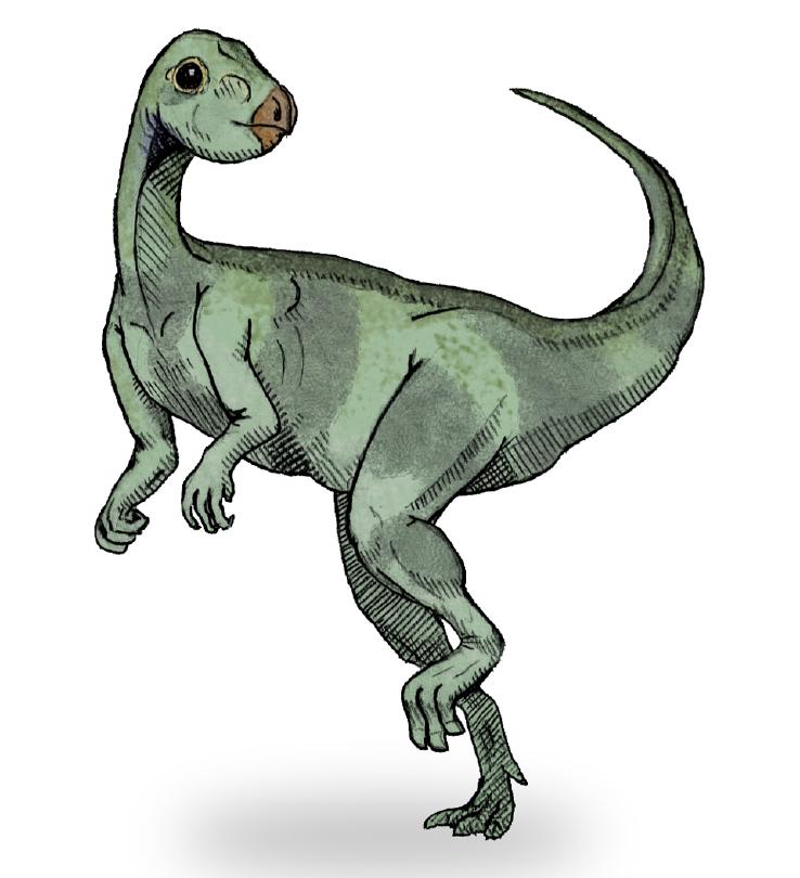 Qantassaurus intrepidus Qantassaurus intrepidus