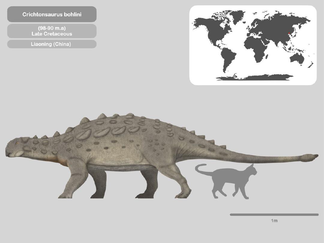 Crichtonsaurus bohlini Crichtonsaurus bohlini