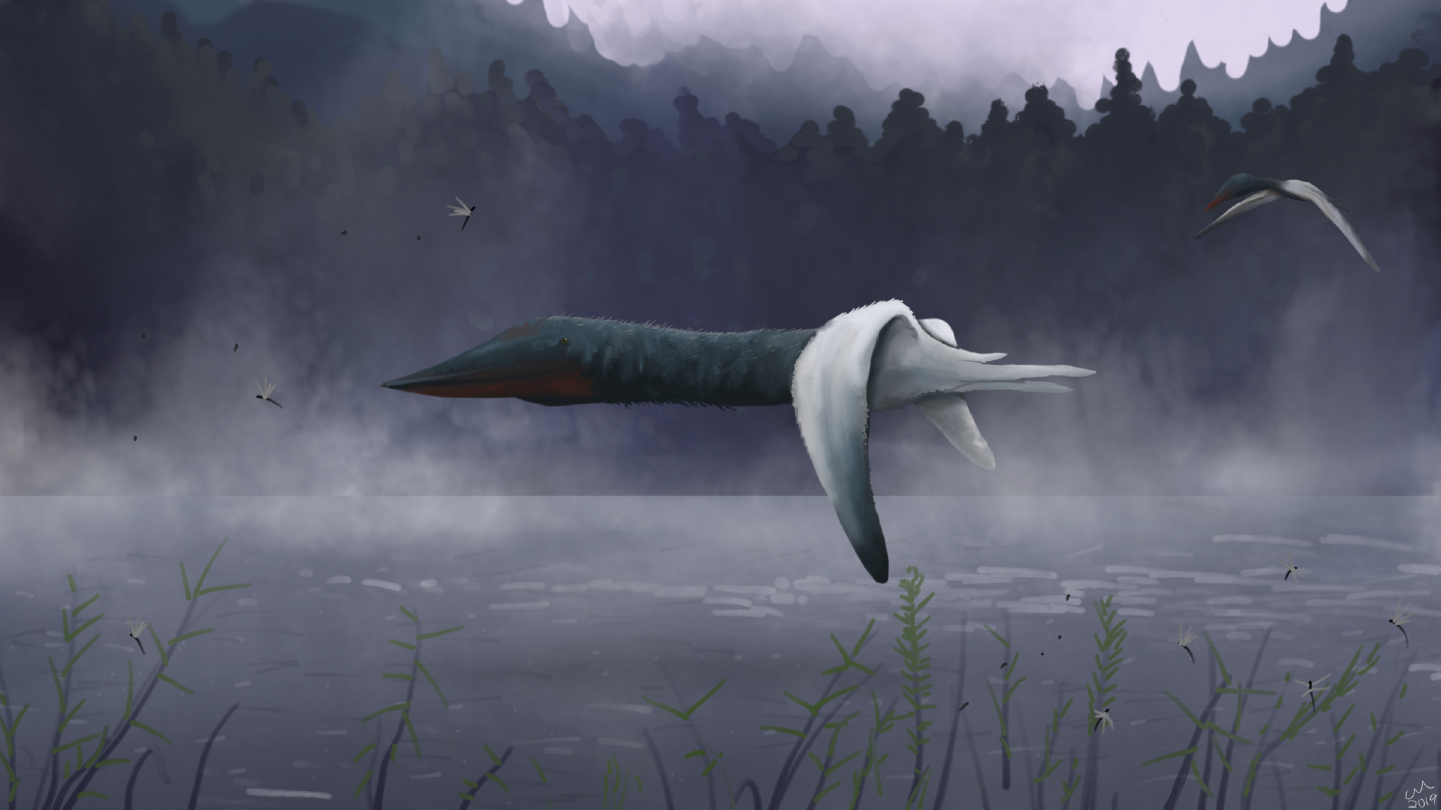 Les clades oubliés du grand public