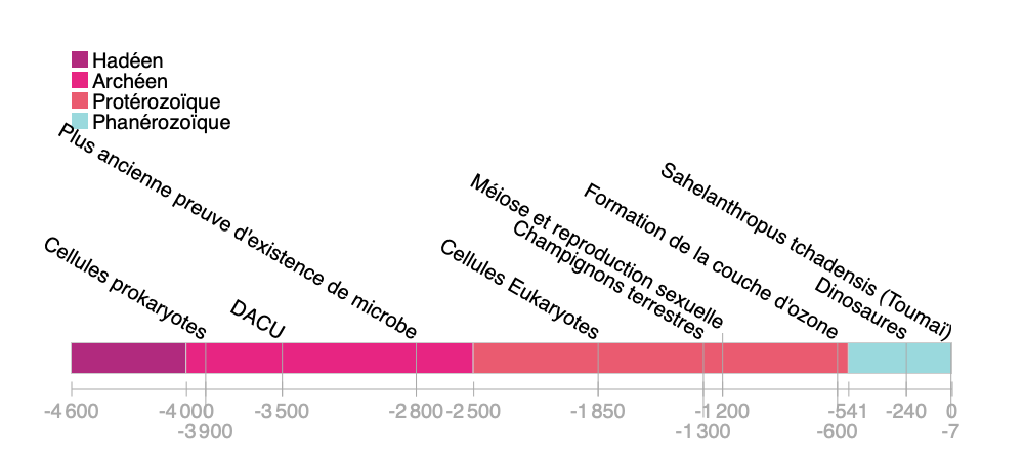 _Image #7_: Les quatre éons de l'Histoire de la Terre, avec le Phanérozoïque à droite. Les dates sont exprimées en millions d'années Thu5xy