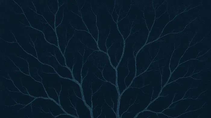 Image de couverture pour L'anankéisme