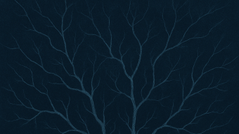 Image de couverture pour L'anankéisme