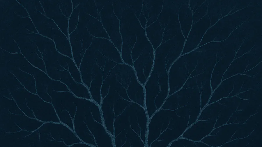 Image de couverture pour L'anankéisme