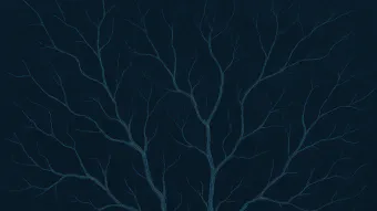 Image de couverture pour L'anankéisme