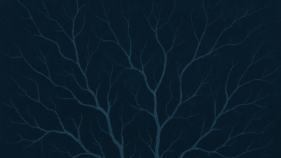 Image de couverture pour L'anankéisme