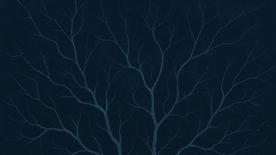 Image de couverture pour L'anankéisme