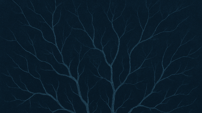 Image de couverture pour L'anankéisme