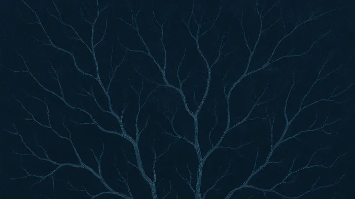 Image de couverture pour L'anankéisme